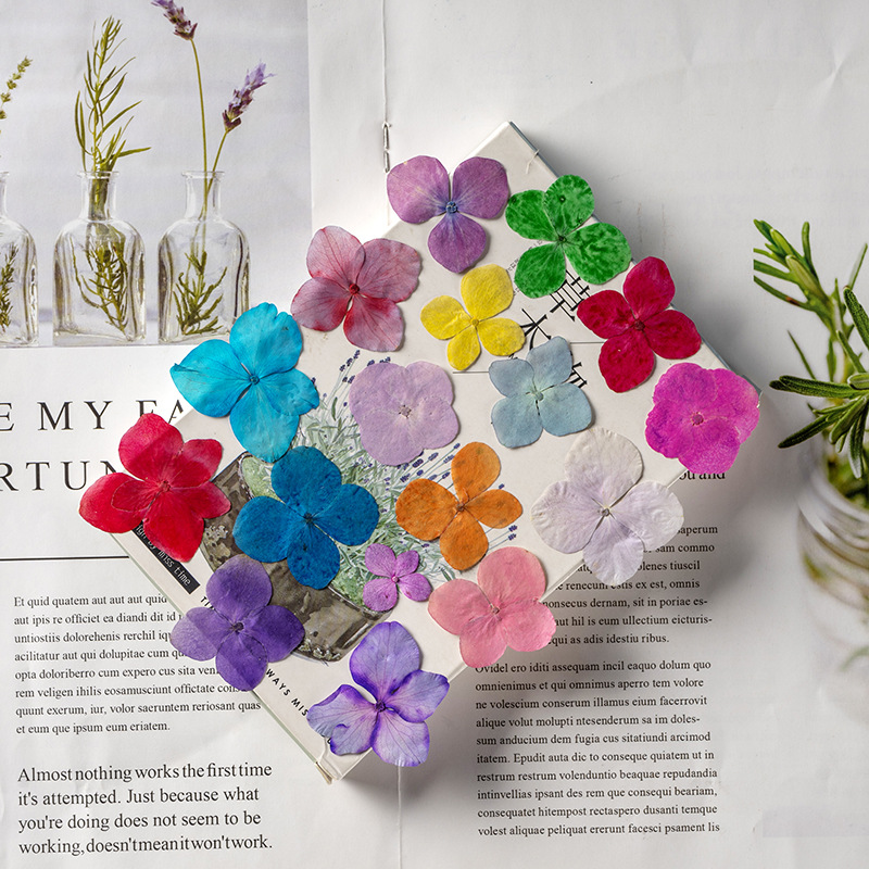 60 шт. цветов гортензии Анна,  – обзор и цена Dried Flower Bookmark