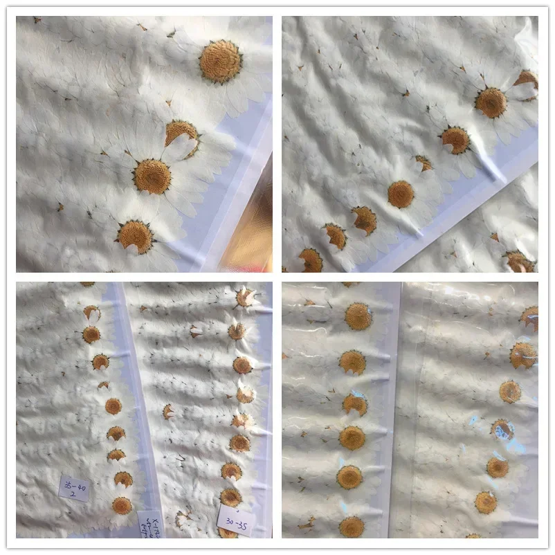 60X прессованная сушеная натур – обзор и цена Dried Flower Bookmark