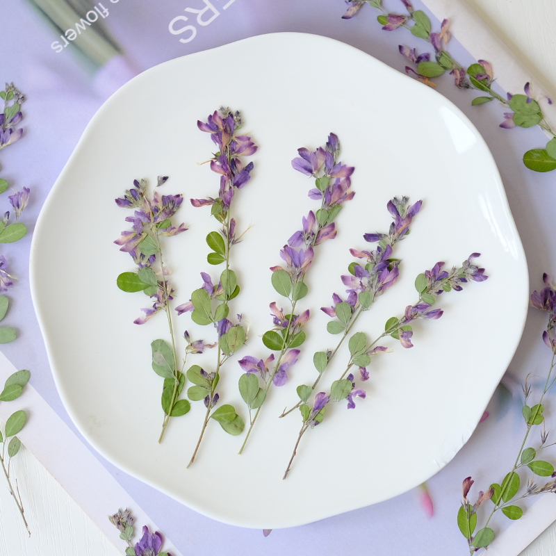 6 шт., натуральные сушеные пре – обзор и цена Dried Flower Bookmark