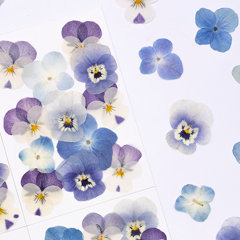 12 шт., Натуральные прессованн – обзор и цена Dried Flower Bookmark