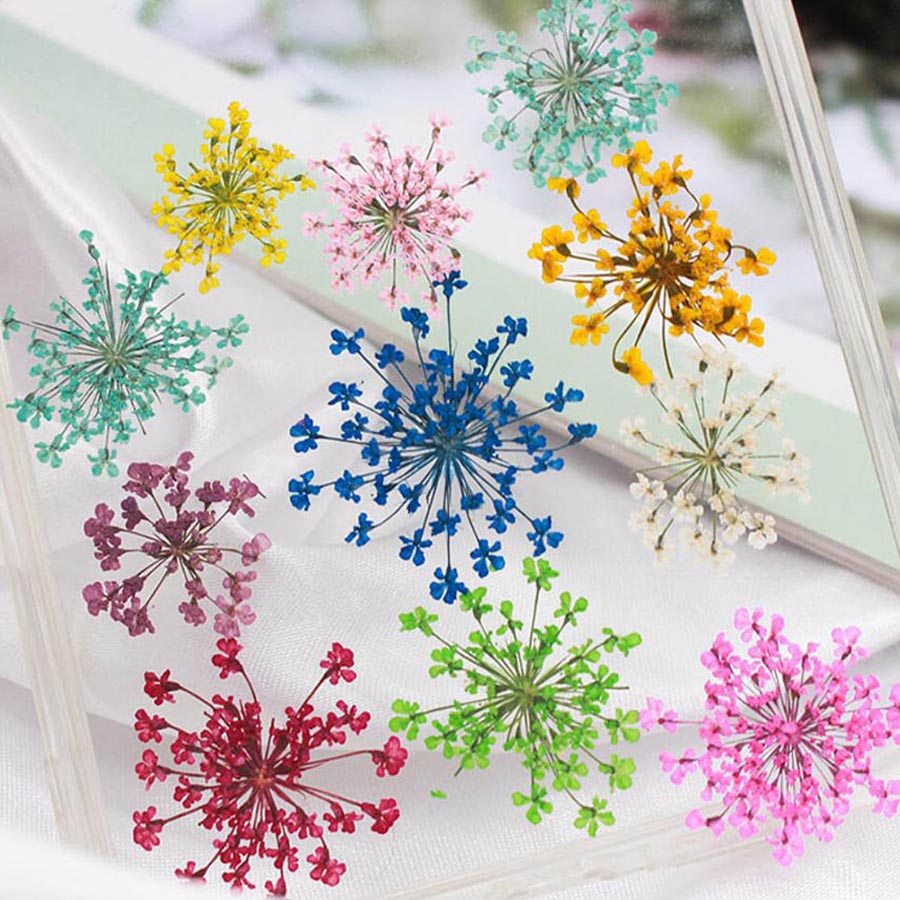 60 шт., бриллианты 15-20 мм, б – обзор и цена Dried Flower Bookmark