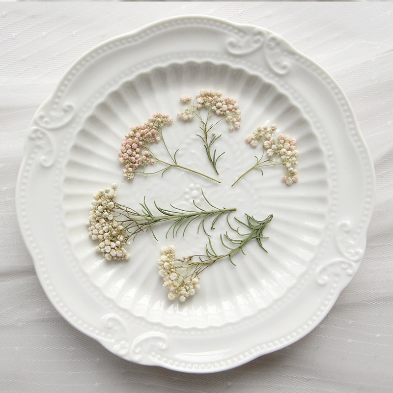 12 шт., Натуральные сушеные ве – обзор и цена Dried Flower Bookmark