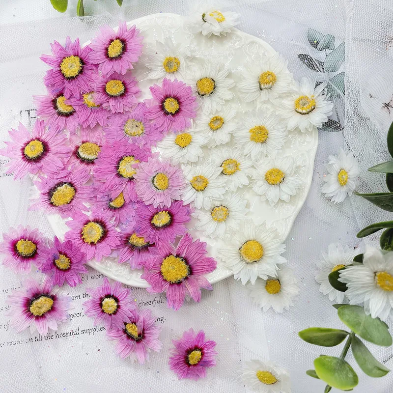Натуральные прессованные цвето – обзор и цена Dried Flower Bookmark