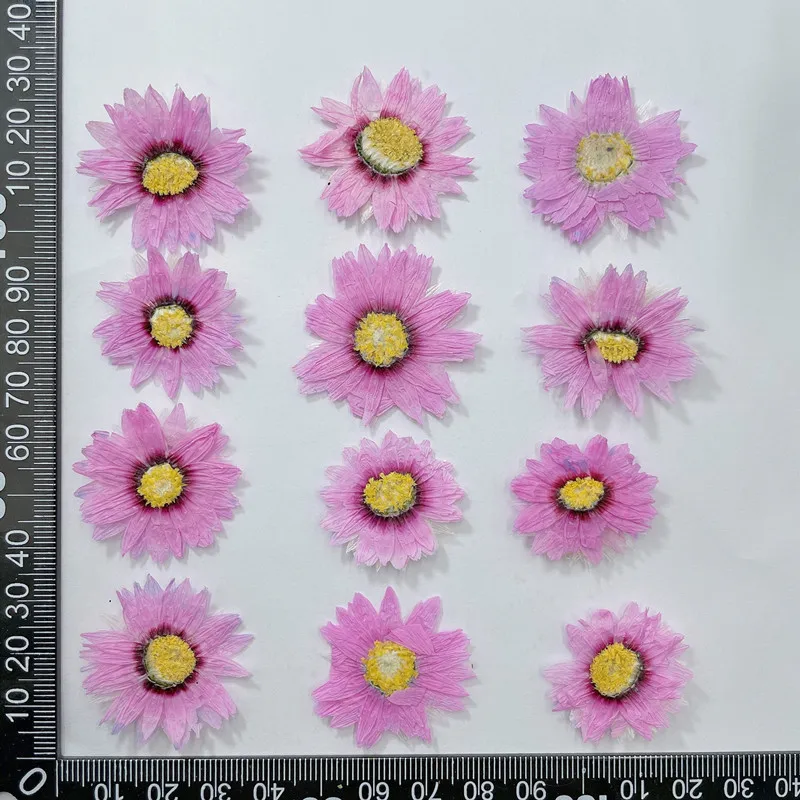 Натуральные прессованные цвето – обзор и цена Dried Flower Bookmark