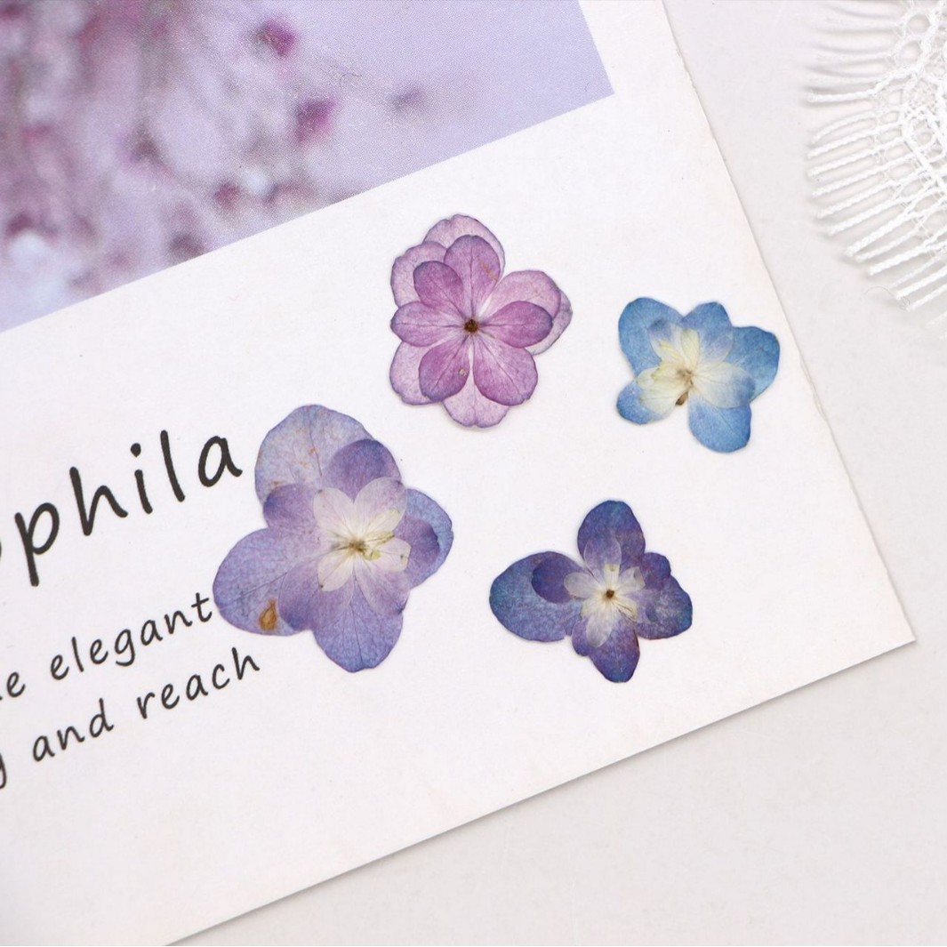 60 шт. миниатюрных двухцветных – обзор и цена Dried Flower Bookmark