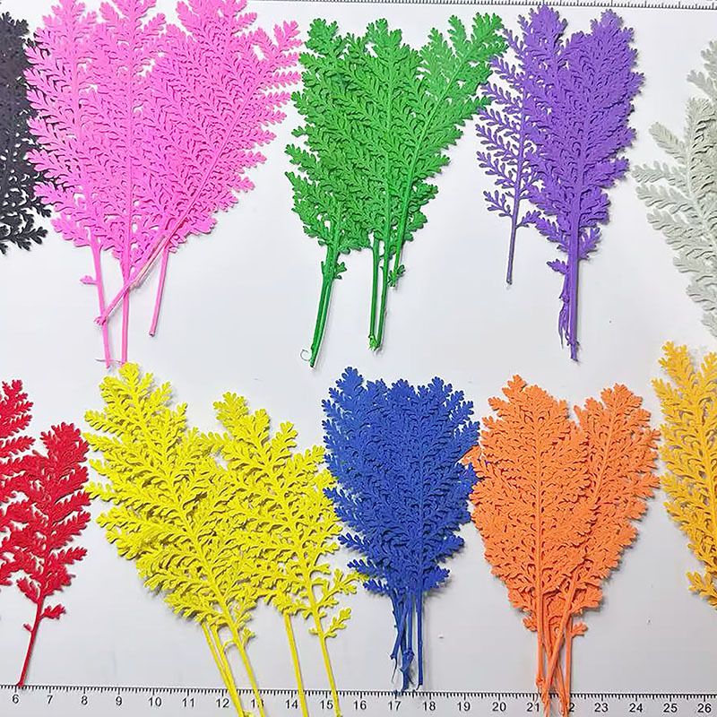 100 шт. натуральных серебристы – обзор и цена Dried Flower Bookmark